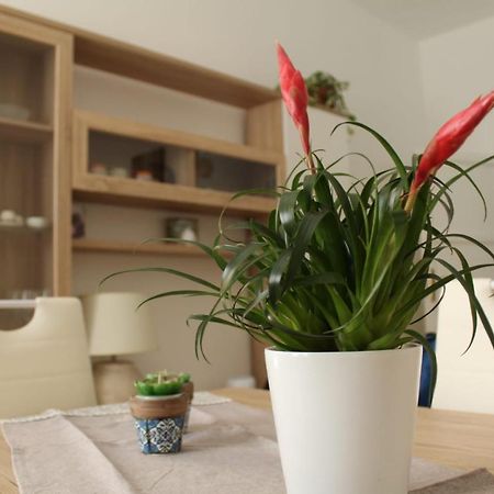 Ohana: Casa Nel Centro Di Lecce Exteriér fotografie