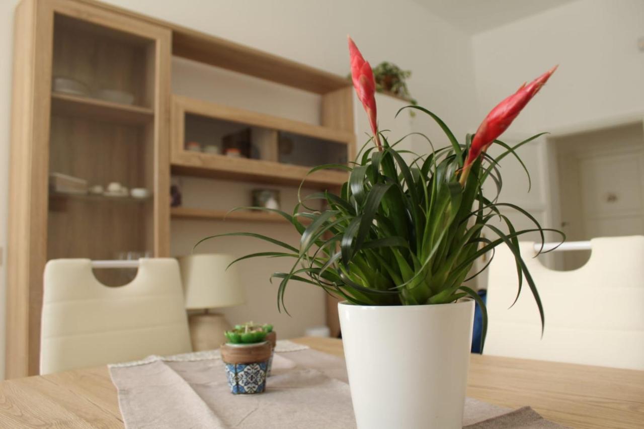 Ohana: Casa Nel Centro Di Lecce Exteriér fotografie